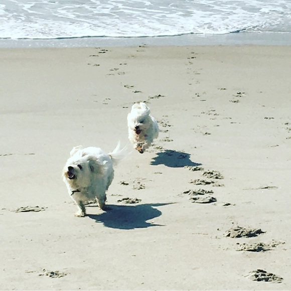 Meet your Posher, Jennifer - Picture 6 of 11